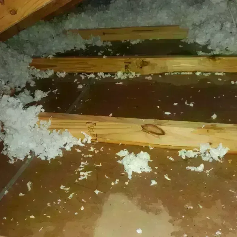 Attic Water Damage in Shingletown, CA